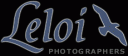 leloi-logo-small.gif